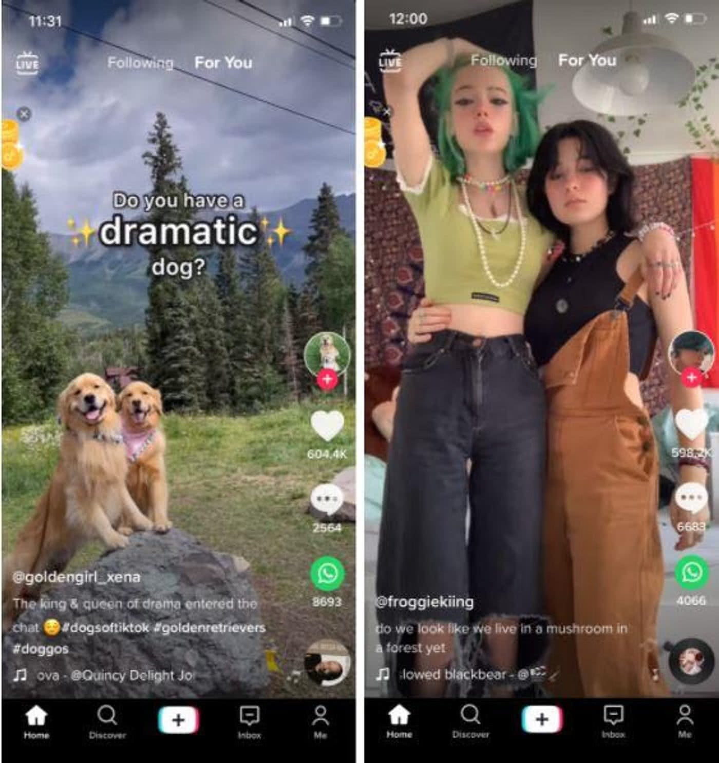 TikTok For You page example