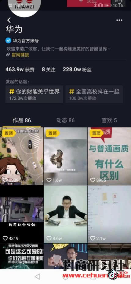 Tiktok蓝V认证和国内抖音蓝V认证是一样的吗?(详细介绍)插图5 Tiktok蓝V认证和国内抖音蓝V认证是一样的吗?(详细介绍)