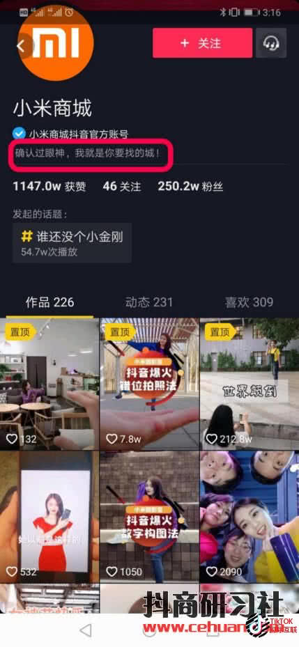 Tiktok蓝V认证和国内抖音蓝V认证是一样的吗?(详细介绍)插图28 Tiktok蓝V认证和国内抖音蓝V认证是一样的吗?(详细介绍)