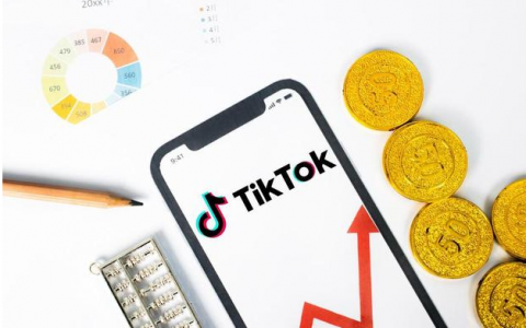 tiktok美国小店卖什么好（最火的产品榜单一览）